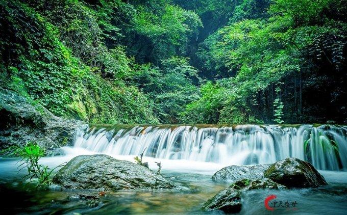 疯狂的麦克斯